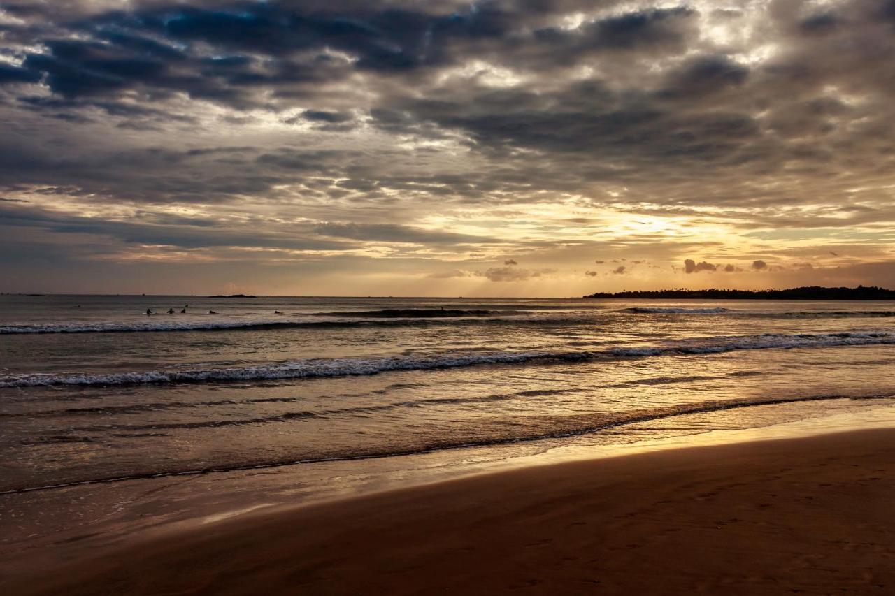 The Surfer Sri Lanka - Surf Camp Hotel Weligama Exterior photo